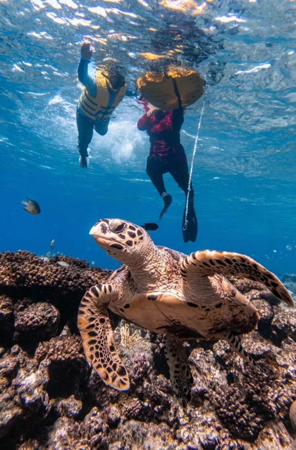 Snorkeling